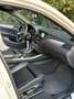 BMW X4 X4 xdrive30dA Msport Bianco - thumbnail 11