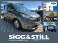 Ford Tourneo Connect 1.5 Titanium AT ACC*PANO*XEN*NAV*PDC Gri - thumbnail 1