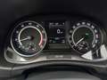 Skoda Fabia R5 *2.Hand* *1 of 1.300* Weiß - thumbnail 16