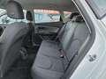 SEAT Leon 1.6 TDI 85KW ST&SP REFERENCE Blanco - thumbnail 16