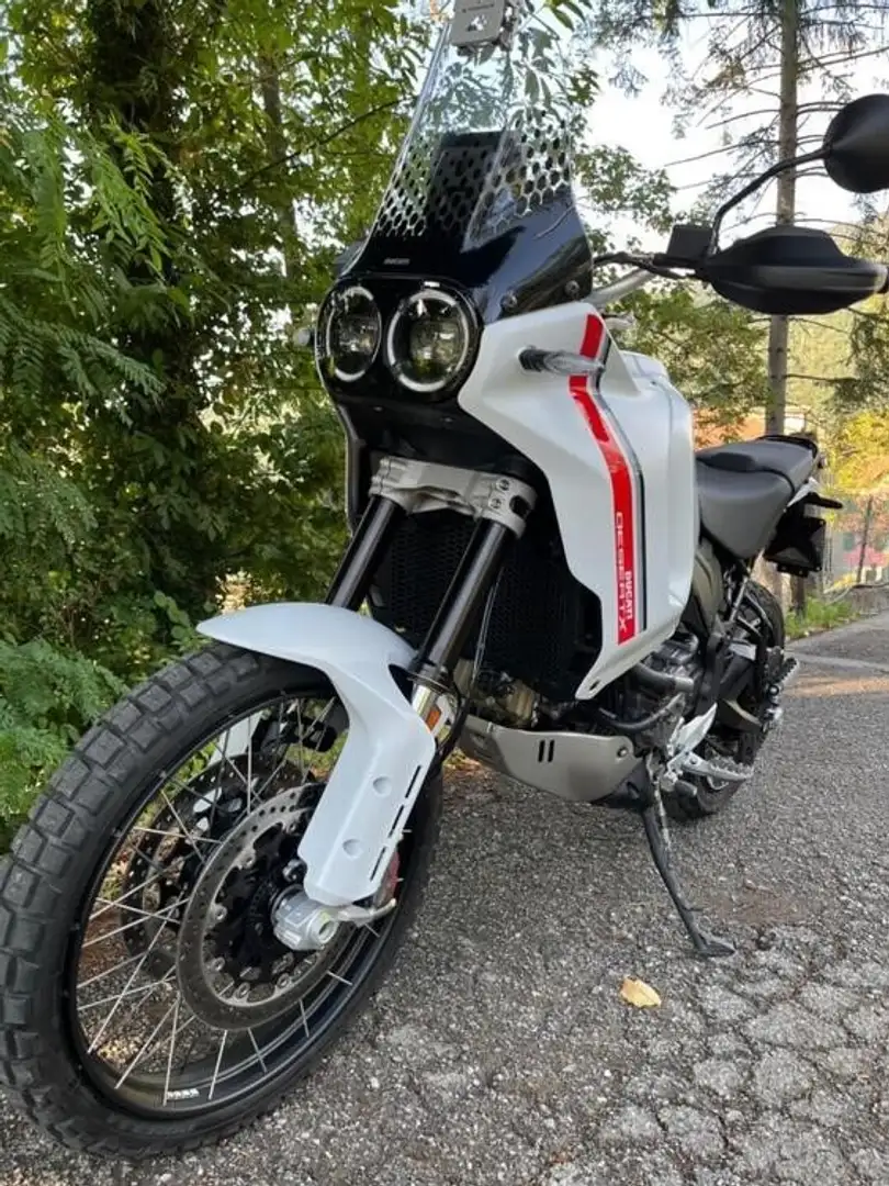 Ducati DesertX Bianco - 1