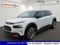 Citroen C4 Cactus 1.2 PureTech 110 Shine Navi Kamera SHZ Weiß - thumbnail 1