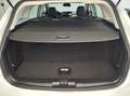 Ford Focus 1.5 EcoBlue Titanium Aut. LED Weiß - thumbnail 12