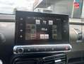 Citroen C4 Cactus BlueHDi 100 Feel Business Gris - thumbnail 20