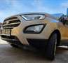 Ford EcoSport 1,0 EcoBoost Trend - thumbnail 9