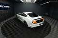 Ford Mustang Shelby GT 500 5.0 V8 Modell 2024 *6Gang* Weiß - thumbnail 21