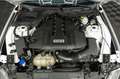 Ford Mustang Shelby GT 500 5.0 V8 Modell 2024 *6Gang* Weiß - thumbnail 39