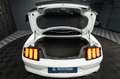 Ford Mustang Shelby GT 500 5.0 V8 Modell 2024 *6Gang* Weiß - thumbnail 18