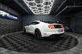Ford Mustang Shelby GT 500 5.0 V8 Modell 2024 *6Gang* Weiß - thumbnail 20