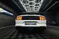 Ford Mustang Shelby GT 500 5.0 V8 Modell 2024 *6Gang* Weiß - thumbnail 19