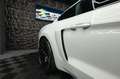 Ford Mustang Shelby GT 500 5.0 V8 Modell 2024 *6Gang* Weiß - thumbnail 11