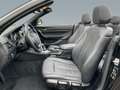 BMW 220 220i Cabrio Advantage*Buisness*Facelift*LED*PDC* Schwarz - thumbnail 12