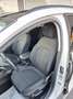 Ford Focus BIANCO PERLA Active SW 1.5 ecoblue s Blanc - thumbnail 8