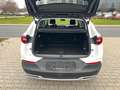 Opel Grandland X 2.0 D Opel 2020 Aut. Navi+Led+Kamera Weiß - thumbnail 15