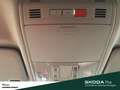 Skoda Fabia DRIVE TSI LED APP EPH SITZHZG KLIMA Grau - thumbnail 15