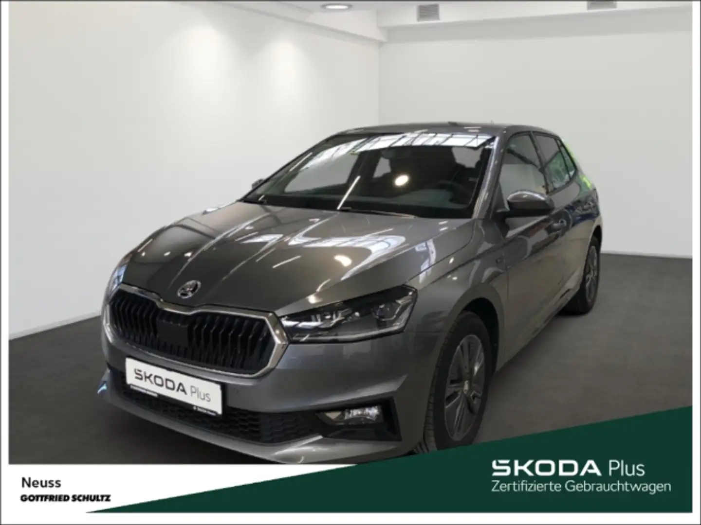 Skoda Fabia DRIVE TSI LED APP EPH SITZHZG KLIMA Grau - 1