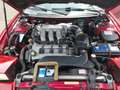 Ford Probe Probe 24V Rot - thumbnail 8