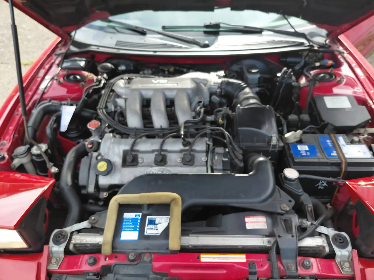 Ford Probe 24V, foto 8