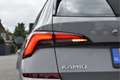 Skoda Kamiq 1.0 TSI Business Edition Virtual cockpit, Navi, Dy Grijs - thumbnail 23