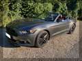 Ford Mustang Mustang 2,3 EcoBoost Cabrio Grau - thumbnail 5