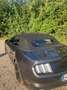 Ford Mustang Mustang 2,3 EcoBoost Cabrio Grau - thumbnail 11
