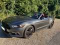 Ford Mustang Mustang 2,3 EcoBoost Cabrio Grau - thumbnail 4