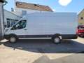 Ford Transit 350 L4 Trend Weiß - thumbnail 4