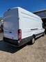 Ford Transit 350 L4 Trend Weiß - thumbnail 7