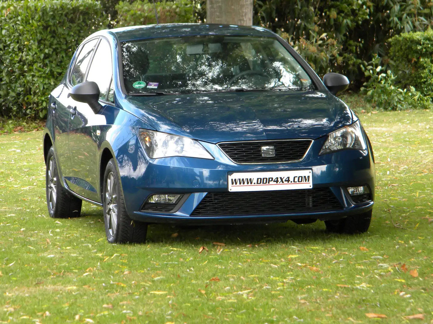 SEAT Ibiza Ibiza 1.4i Reference Azul - 2