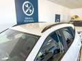 SEAT Arona 1.0 TSI Ecomotive S&S Style 115 Blanco - thumbnail 14