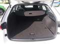 Skoda Octavia Combi 2.0 TDI DSG Style+Navi+KESSY+Kamera Weiß - thumbnail 5