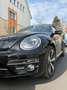 Volkswagen Beetle VW Beetle Cabriole „SOUND Plus Paket“ - thumbnail 7