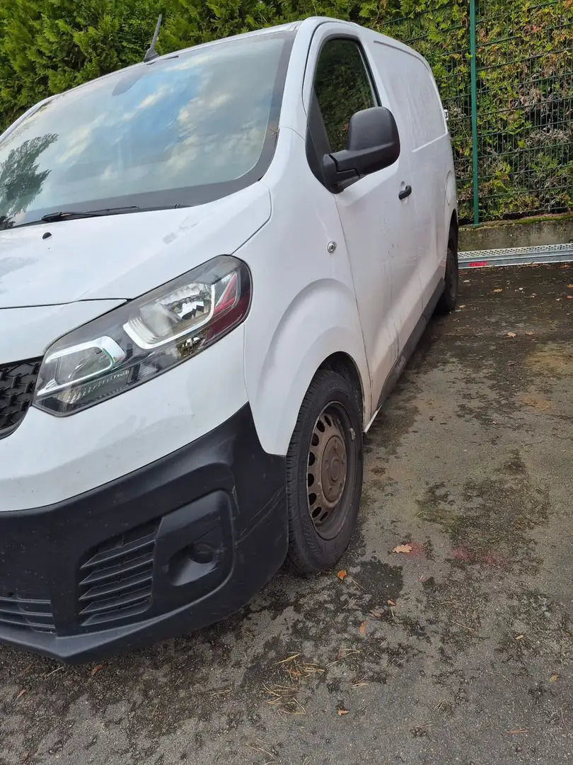 Fiat Scudo L1 Basis Weiß - 2