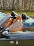 Alfa Romeo Spider 2,4 JTDM Cabrio Schwarz - thumbnail 6