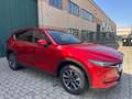 Mazda CX-5 CX-5 2.2 EXCLUSIVE awd 150cv FULL OPT UNICOPROPR Rood - thumbnail 2