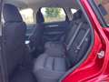 Mazda CX-5 CX-5 2.2 EXCLUSIVE awd 150cv FULL OPT UNICOPROPR Rood - thumbnail 15