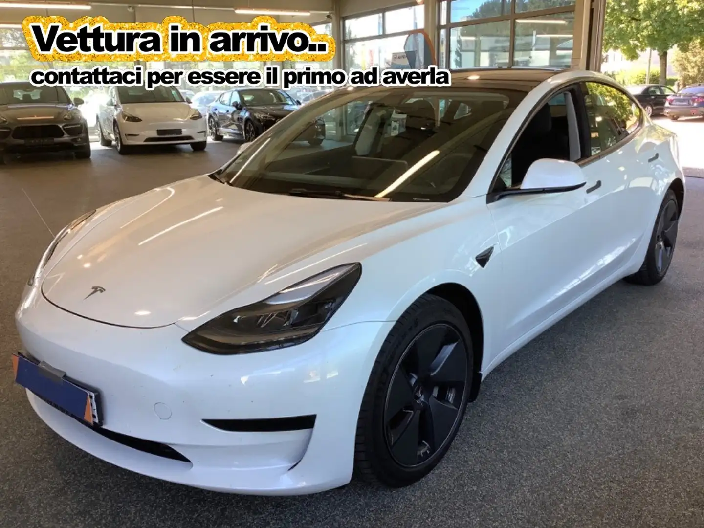 Tesla Model 3 🎁𝗣𝗥𝗢𝗠𝗢 Standard RWD Plus Wit - 1