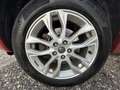 Renault Koleos 2,0 dCi 150 4WD Bose Edition Rot - thumbnail 8