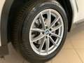 BMW X4 xDrive 20d 48 V A Weiß - thumbnail 5