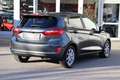 Ford Fiesta 1.0 EcoBoost TitaniumX/LED/ACC/Kamera/B&O Grau - thumbnail 2
