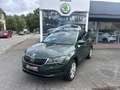 Skoda Karoq 2.0 TDI DSG Style+AHK+Navi+ACC+Kessy+ Groen - thumbnail 2