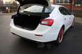 Maserati Ghibli S Kamera/HarmanKardon/Totwinkel/Keyless Weiß - thumbnail 4
