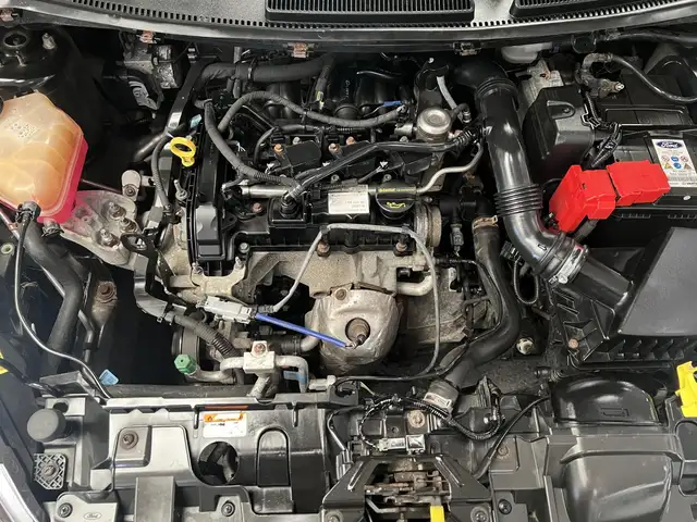 Ford Fiesta view 30
