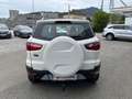 Ford EcoSport 1,5 TDCi Titanium*Pickerl 04/2027*AHK*PDC Weiß - thumbnail 4