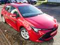 Toyota Corolla Hybrid Comfort + CarPlay + Ganzjahresreifen + + + Rot - thumbnail 4