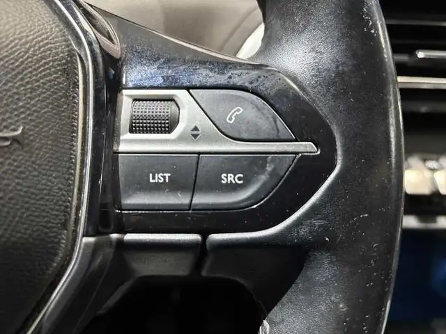 Peugeot 3008 view 19