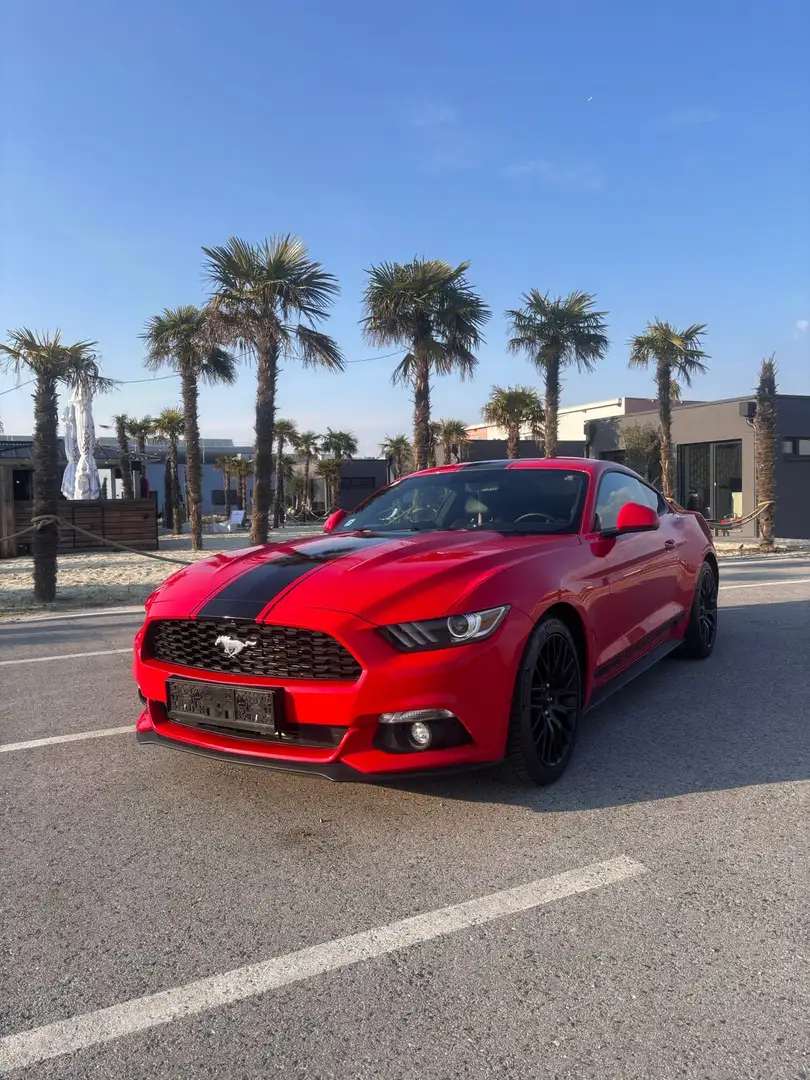 Ford Mustang 2,3 EcoBoost Fastback | !! EU-Modell !! - 1