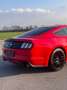Ford Mustang 2,3 EcoBoost Fastback | !! EU-Modell !! - thumbnail 7