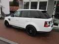 Land Rover Range Rover Sport 3.0 SDV6 HSE/Navigation/Kamera Weiß - thumbnail 2