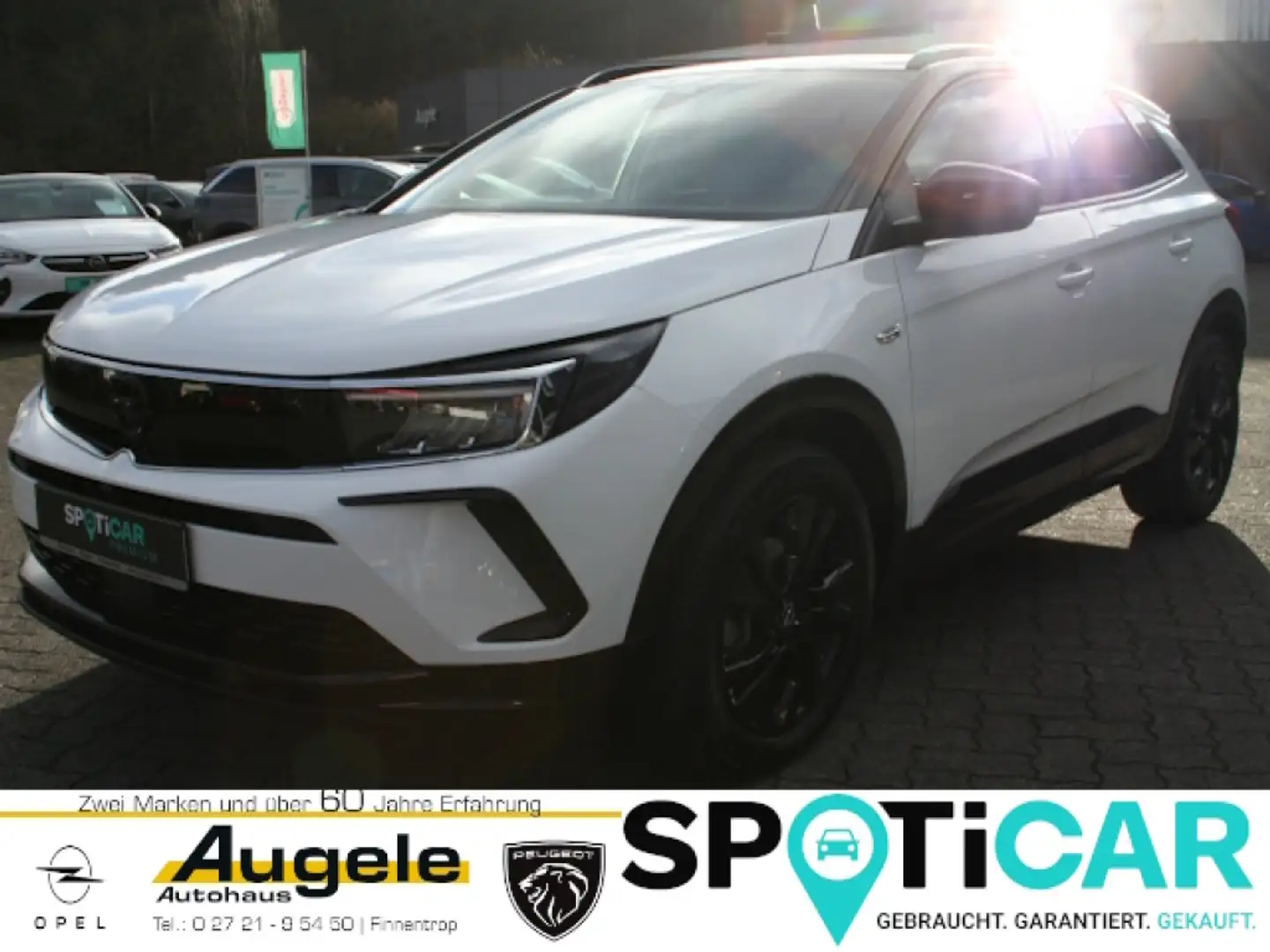Opel Grandland GS AT8, Navigation, Kamera, Sitzheizung, LHZ, PDC Blanco - 1